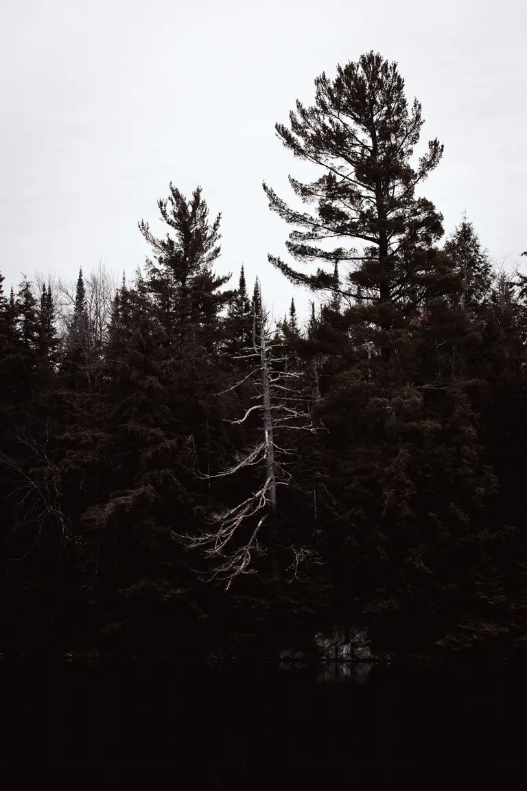 Photograph by Edede Oiwoh